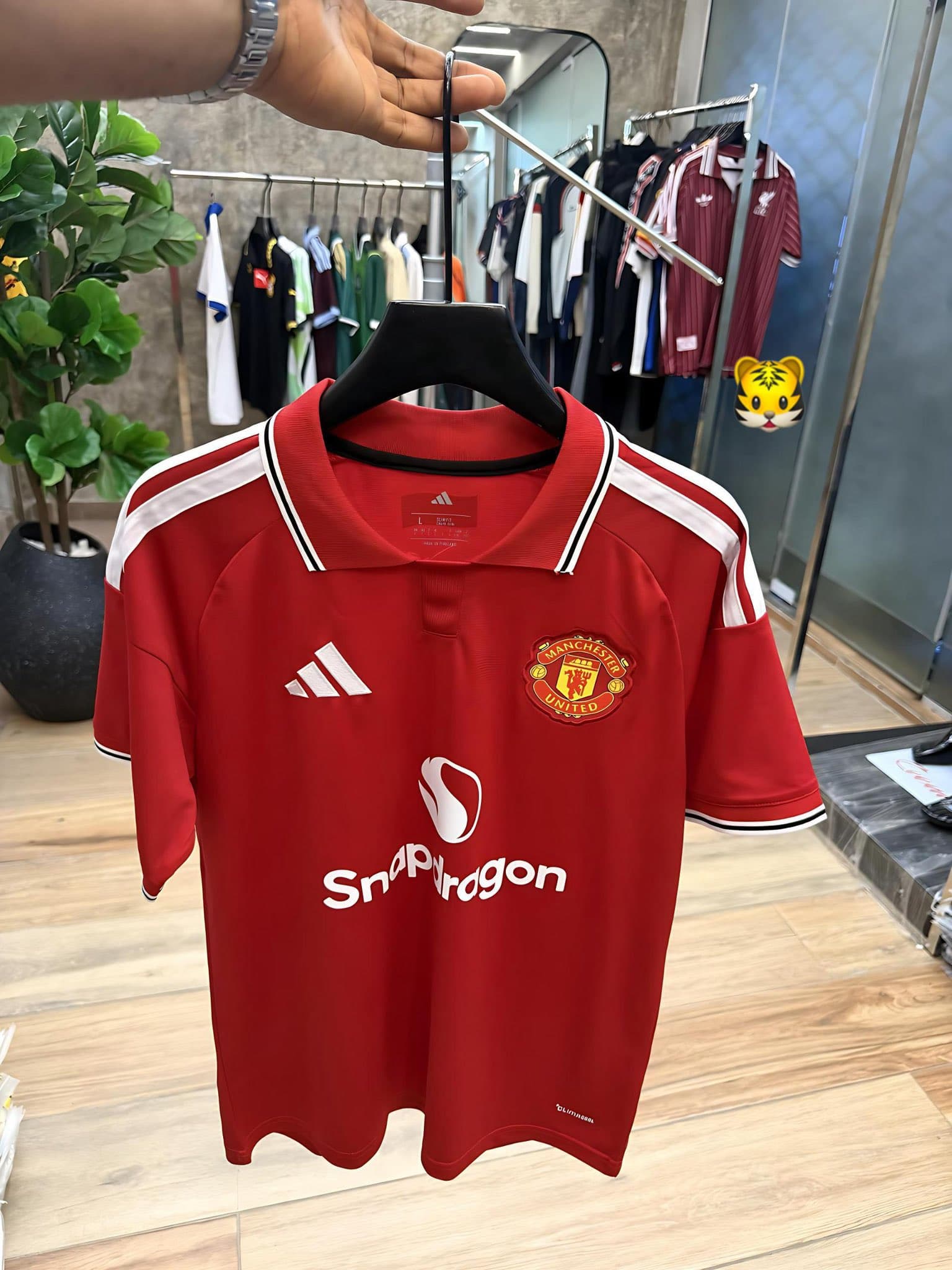 Jerseys